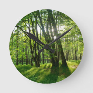 Lente bos ronde klok