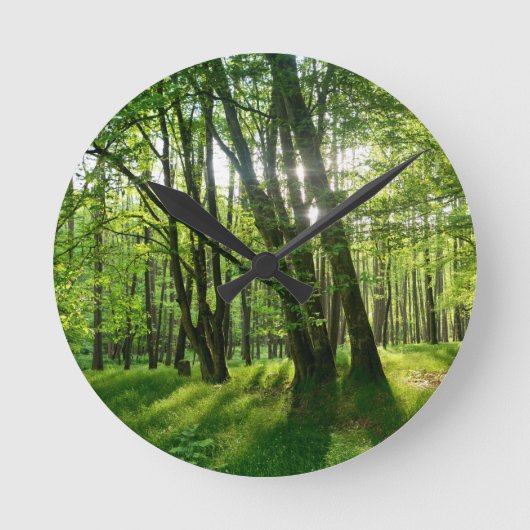 Lente bos ronde klok (Voorkant)