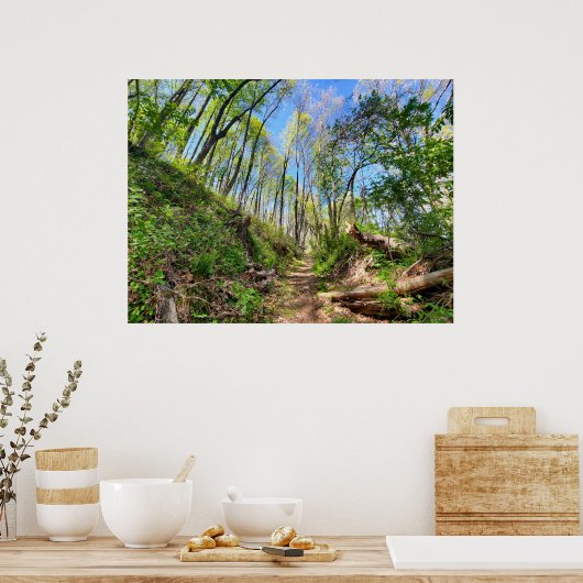 Lente Bosfoto Poster (Keuken)