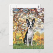 Lente - Boston Terrier #1 Briefkaart (Voorkant / Achterkant)