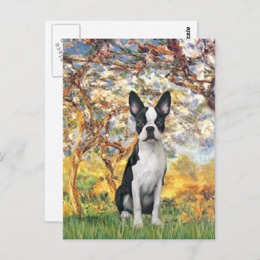 Lente - Boston Terrier #1 Briefkaart (Voorkant / Achterkant)