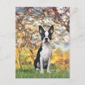 Lente - Boston Terrier #1 Briefkaart (Voorkant)