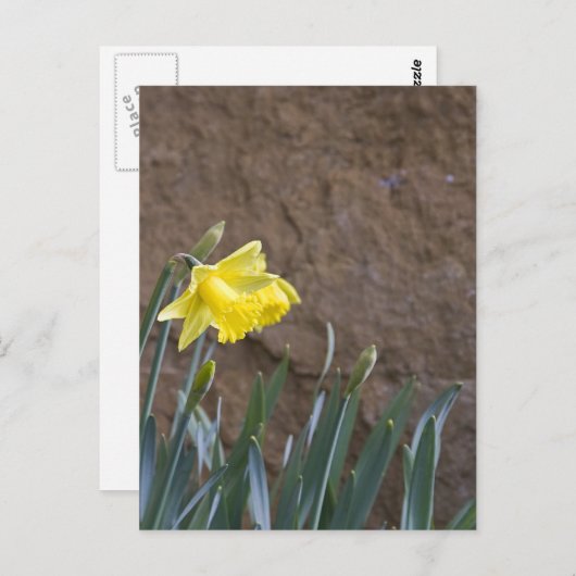 Lente! Briefkaart (Voorkant / Achterkant)