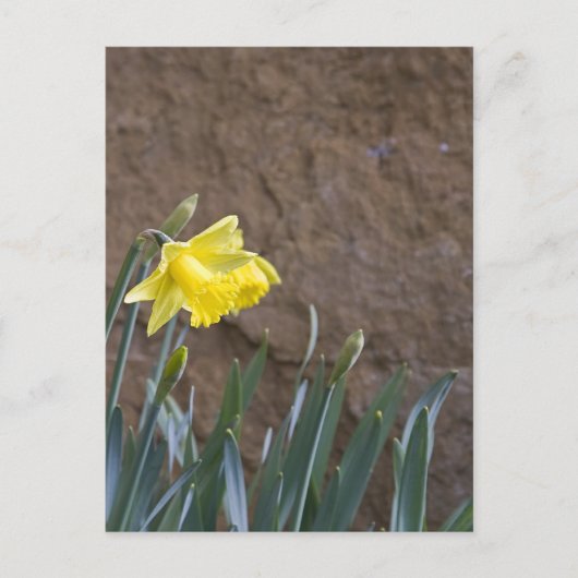 Lente! Briefkaart (Voorkant)