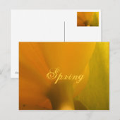 lente briefkaart (Voorkant / Achterkant)