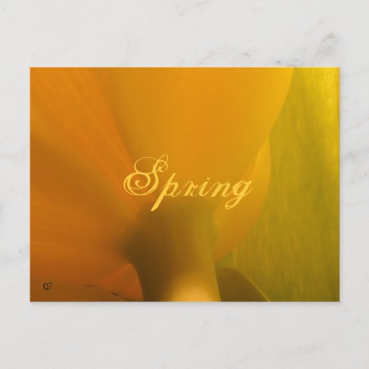 lente briefkaart (Voorkant)