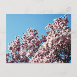 lente briefkaart