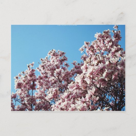 lente briefkaart (Voorkant)