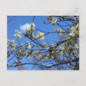 lente briefkaart (Voorkant)