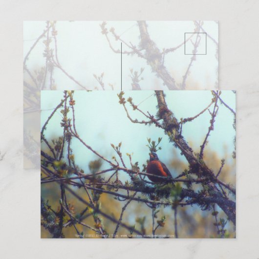 lente briefkaart (Voorkant / Achterkant)
