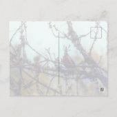lente briefkaart (Achterkant)