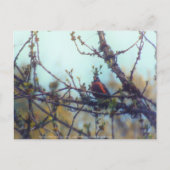 lente briefkaart (Voorkant)