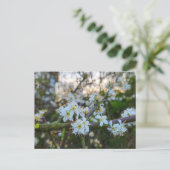 Lente briefkaart (Staand voorkant)