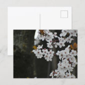 Lente briefkaart (Voorkant / Achterkant)