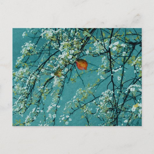 lente briefkaart (Voorkant)