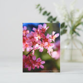 lente briefkaart (Staand voorkant)