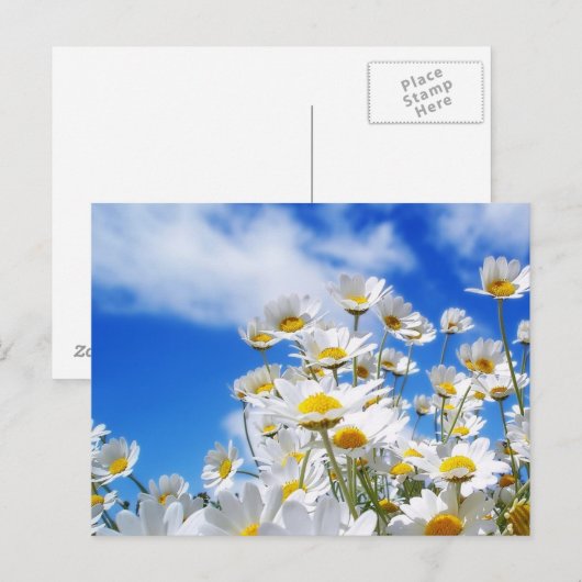 lente briefkaart (Voorkant / Achterkant)