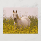 lente briefkaart (Voorkant)