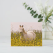 lente briefkaart (Staand voorkant)