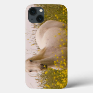 lente Case-Mate iPhone case