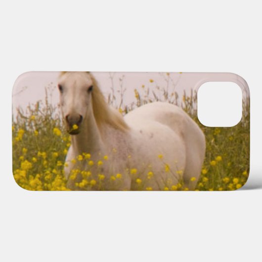 lente Case-Mate iPhone case (Achterkant (horizontaal))