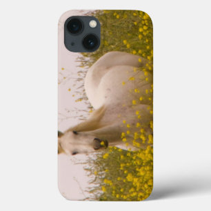 lente Case-Mate iPhone case