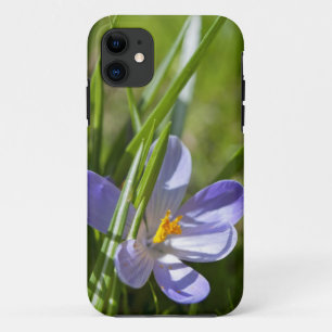 Lente Case-Mate iPhone Case