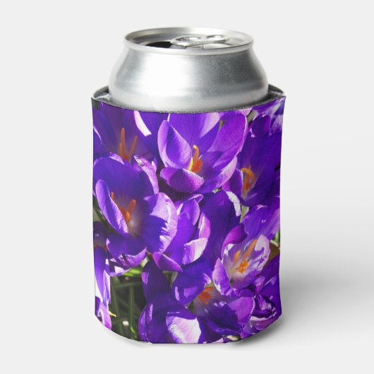 LENTE CROCUS BLIKJESKOELER (Blikje Voorkant)