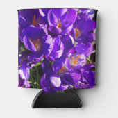 LENTE CROCUS BLIKJESKOELER (Voorkant)