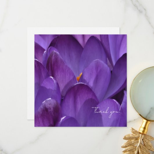 Lente Crocus Bloem Fotografie Bedankkaart (Voorkant / Achterkant in situ)