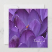 Lente Crocus Bloem Fotografie Bedankkaart (Voorkant)