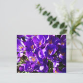 LENTE CROCUS BRIEFKAART (Staand voorkant)