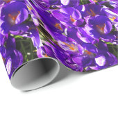 LENTE CROCUS CADEAUPAPIER (Rol Hoek)