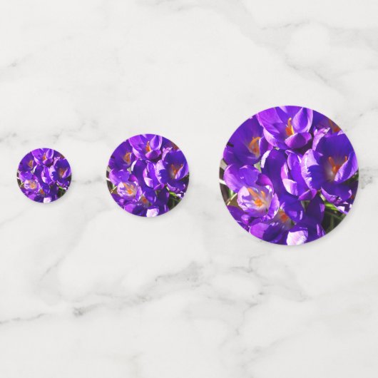 LENTE CROCUS CONFETTI (Voorkanten)