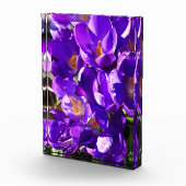 LENTE CROCUS FOTOBLOKKEN (Rechts)