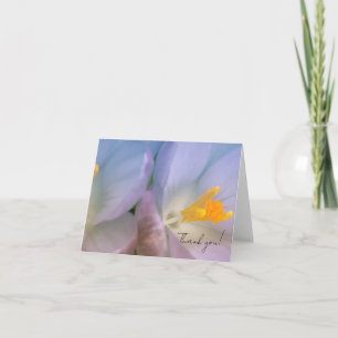 Lente Crocus Fotografie Bedankkaart