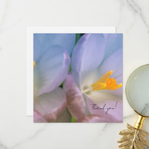 Lente Crocus Fotografie Bedankkaart