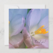 Lente Crocus Fotografie Bedankkaart (Voorkant)