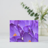 Lente Crocus Fotografie Briefkaart (Staand voorkant)