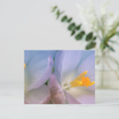Lente Crocus Fotografie Briefkaart (Staand voorkant)