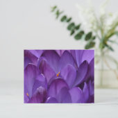 Lente Crocus Fotografie Briefkaart (Staand voorkant)