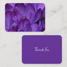 Lente Crocus Fotografie