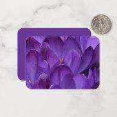Lente Crocus Fotografie Notitiekaartje (Voorkant / Achterkant in situ)