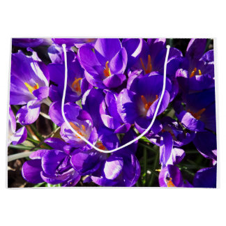 LENTE CROCUS GROOT CADEAUZAKJE