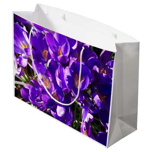 LENTE CROCUS GROOT CADEAUZAKJE (Achterkant Gekanteld)