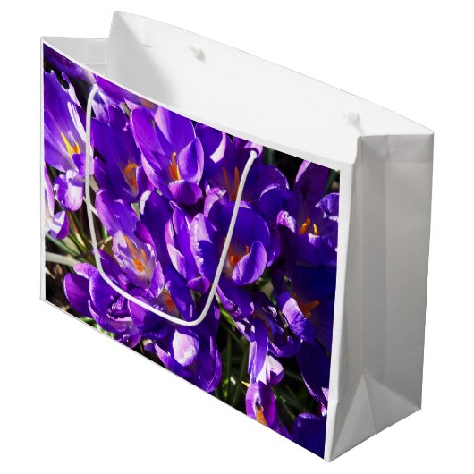 LENTE CROCUS GROOT CADEAUZAKJE (Voorkant Gekanteld)