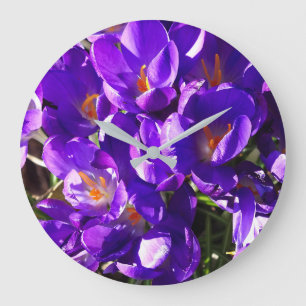 LENTE CROCUS GROTE KLOK