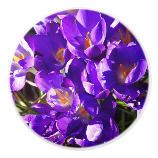 LENTE CROCUS KERAMISCHE KNOP (Voorkant)