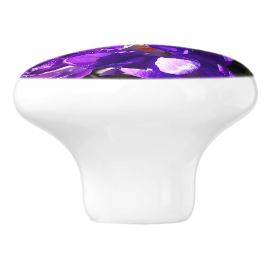 LENTE CROCUS KERAMISCHE KNOP (Zijkant)