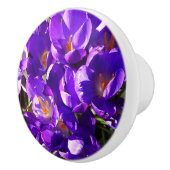 LENTE CROCUS KERAMISCHE KNOP (Rechts)